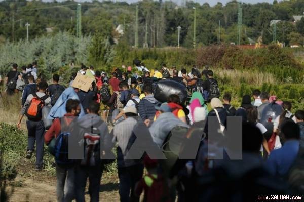 ЕП призвал страны ЕС к применению дополнительных мер по управлению миграционным кризисом - ảnh 1
